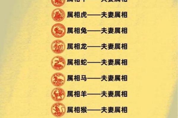 属兔和什么属相最配对 属兔和什么属相相冲