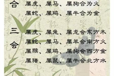 夫妻最好的属相配对