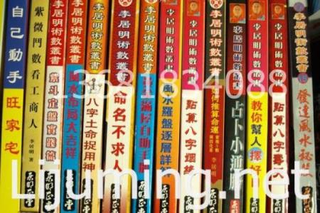 正版麦玲玲算八字语对话