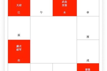 紫薇斗数太阴在戌