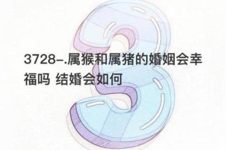 属猪的女人和什么属相最配对 属猪的女人和什么属相最配婚姻