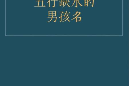 五行缺水八字喜火起名