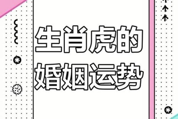 属虎人属相姻缘配对