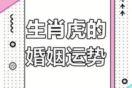 属虎人属相姻缘配对