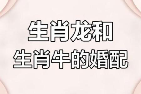 属牛人婚姻配对