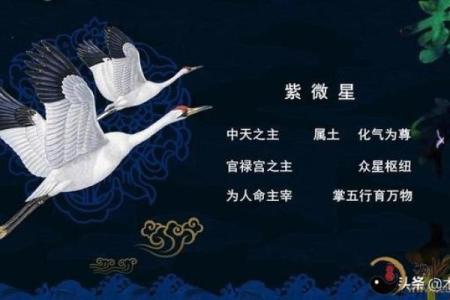 紫薇斗数相冲