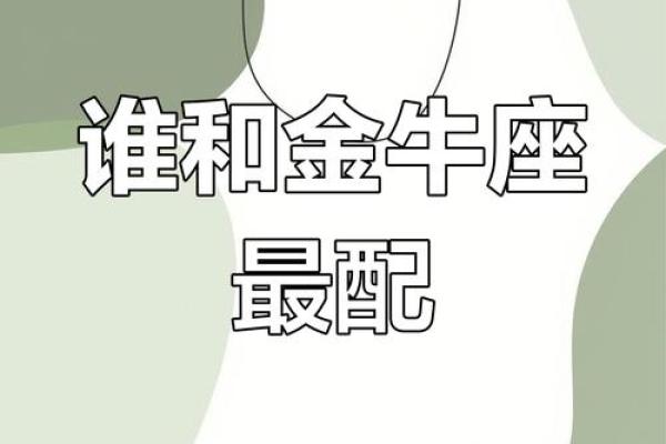 最会保护金牛女的星座男