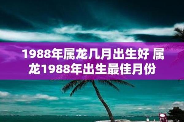 1988年属龙的婚姻配对 1988年属龙的最佳配偶