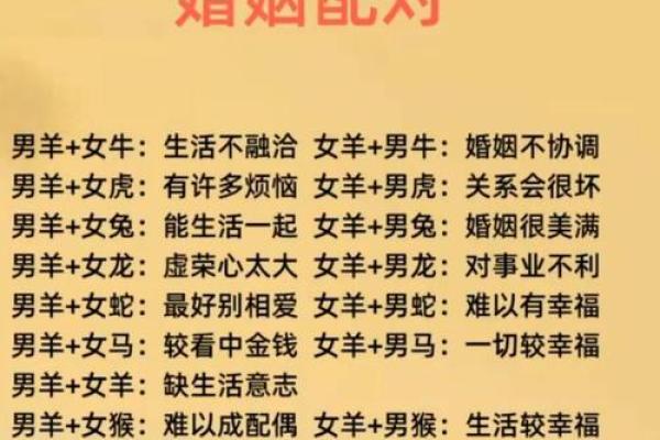 属猪的找什么属相最好 不同月份出生属猪的婚配最佳配对