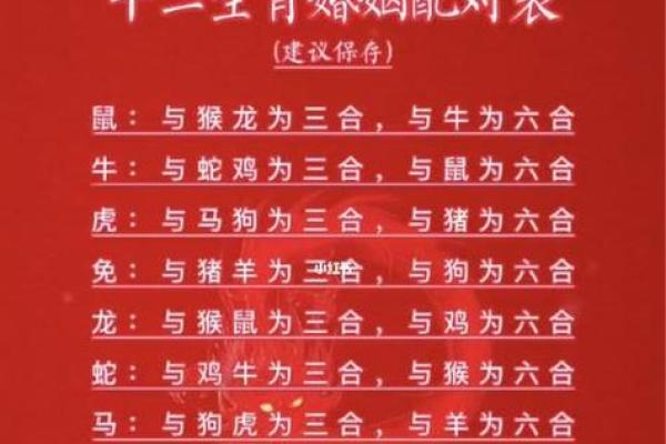 姻缘配对百分之几