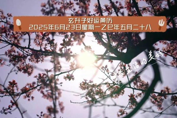 【道教黄历】2022年05月20日 壬寅年 乙巳月 癸酉日