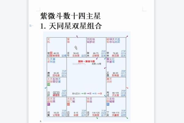 紫薇斗数夹主星