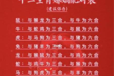 姻缘配对百分之几