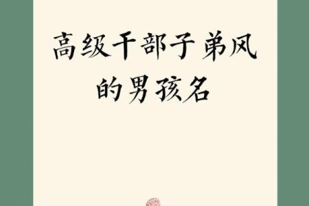 2019年3月29号酉时出生的男孩起名时要注意什么姓名