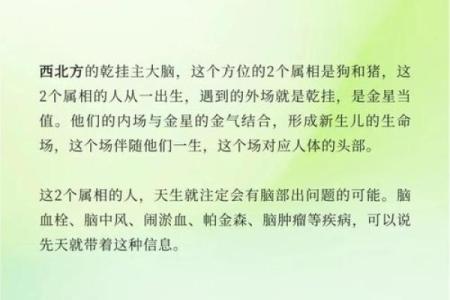 九运什么方位不能见水？详解属相和方位关系