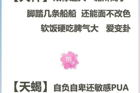 以少奶奶的星座为中心，详解她的性格特点与恋爱观