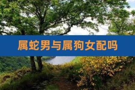 生肖和血型完美匹配你是哪种组合