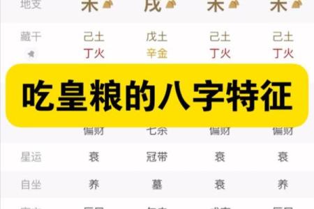 八字命元