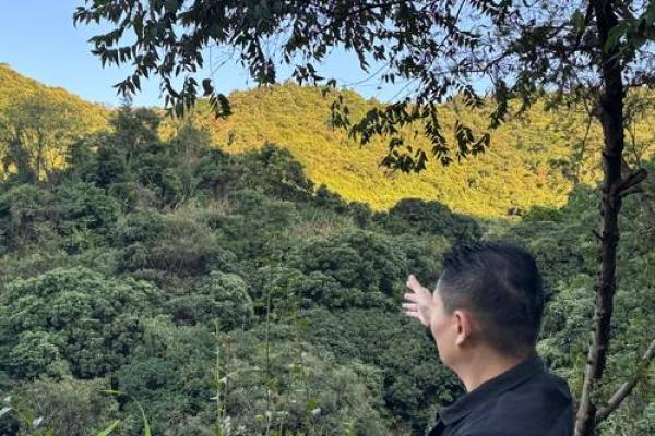 广州哪里算命好