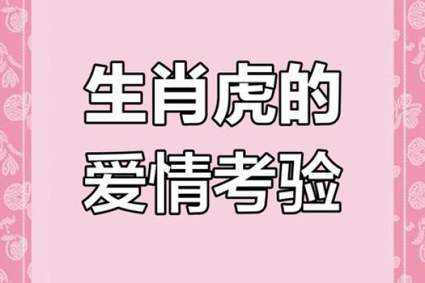 生肖虎配对
