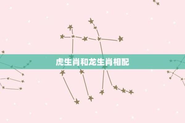 生肖虎配对