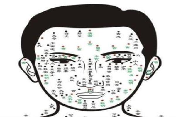 看鼻子面相算命大全