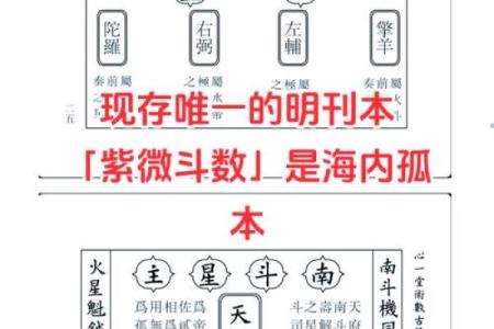 紫薇斗数全书是哪个派别