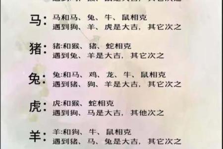 1974年属什么生肖配对 多大几岁 配偶