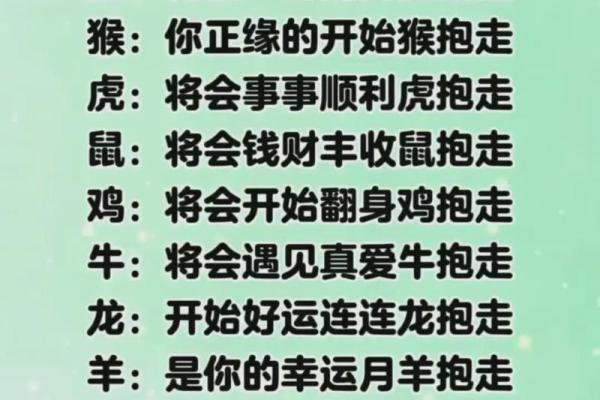十二生肖配对歌看看你和TA的缘分有多好