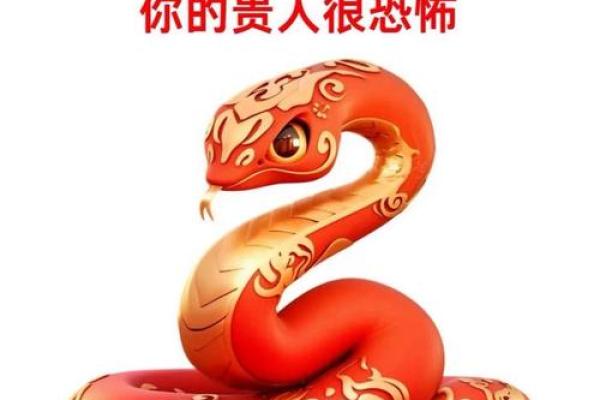 属蛇 人生命运测试