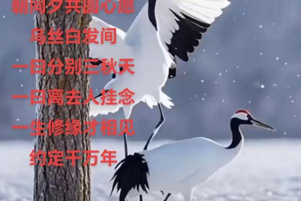 测试生辰看婚姻缘分 你和谁能够白头偕老 其实早已注定