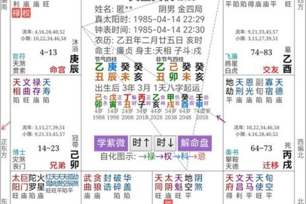 “八字金庫，解读你的人生财富”
