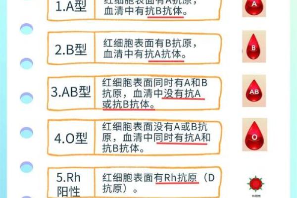 哪种血型的人最多 哪种血型人数最多