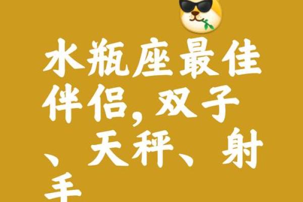 水瓶座和双子座配对指数较高，天生一对？