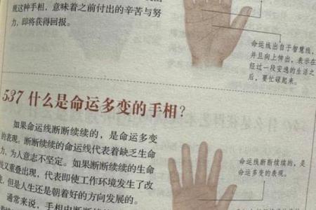掌纹算命图解 通过手相看智慧
