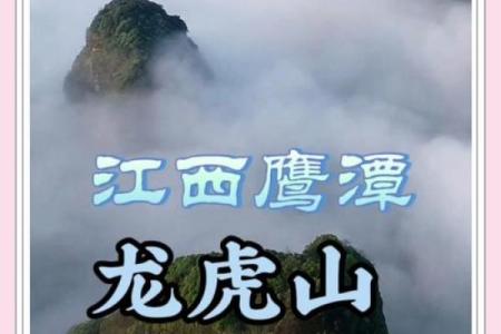 龙虎山算命找谁,龙虎山有道士算命吗