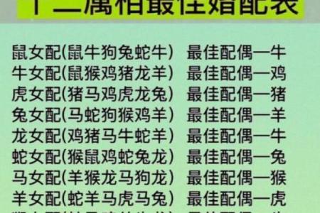 1982年属什么生肖多大年龄 1982年属什么生肖配对