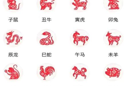 猪的生肖配对