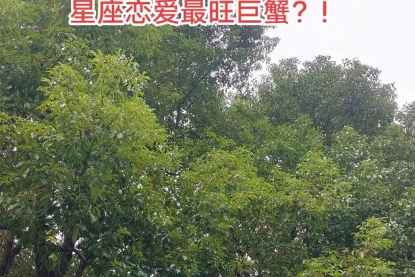 摩羯男巨蟹女座配对  摩羯男遇上巨蟹女就死