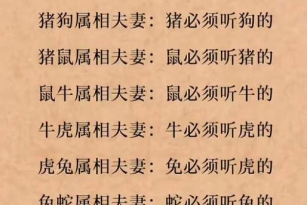 女马男蛇生肖配对姻缘