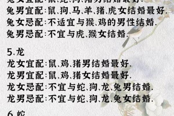 女马男蛇生肖配对姻缘
