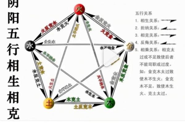 八字十神——家族关系谱