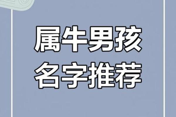 凌晨5点出生的属牛男孩取名有哪些适合的字姓名