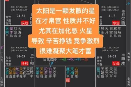 紫薇斗数太阴星