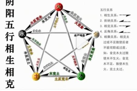 八字十神——家族关系谱