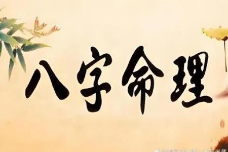 八字注册码