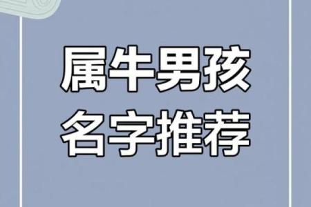 凌晨5点出生的属牛男孩取名有哪些适合的字姓名