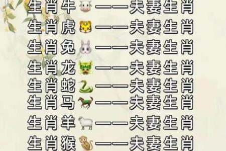 龙生肖配对姻缘 龙生肖配对排名？
