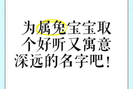 早上出生属兔的男孩应该怎样取名字呢姓名