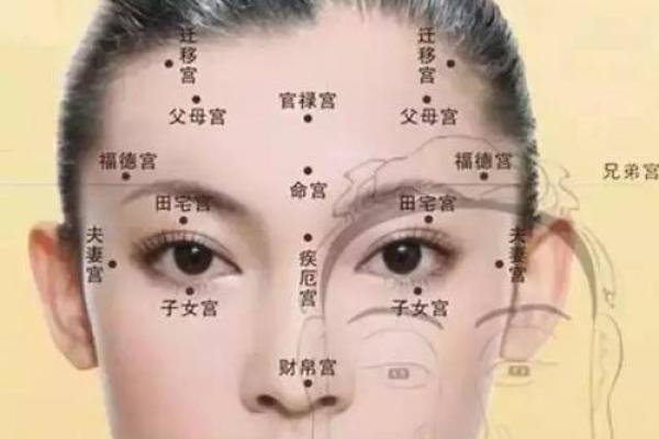 相貌宫紫薇斗数